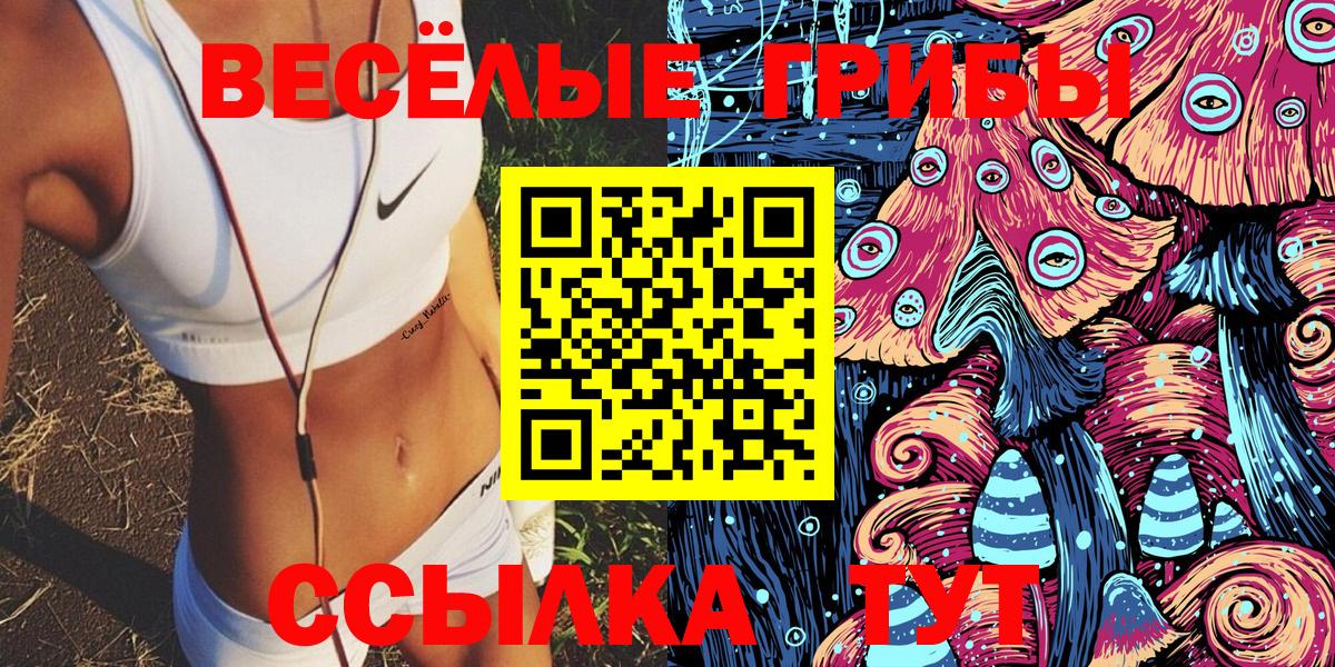 Псилоцибиновые грибы мухоморы Курчатов